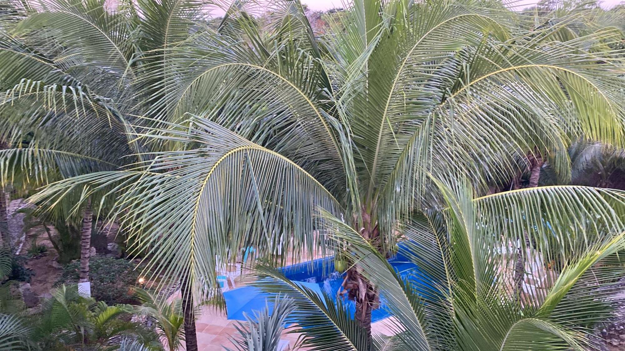 Villa Tortugas Akumal Ngoại thất bức ảnh