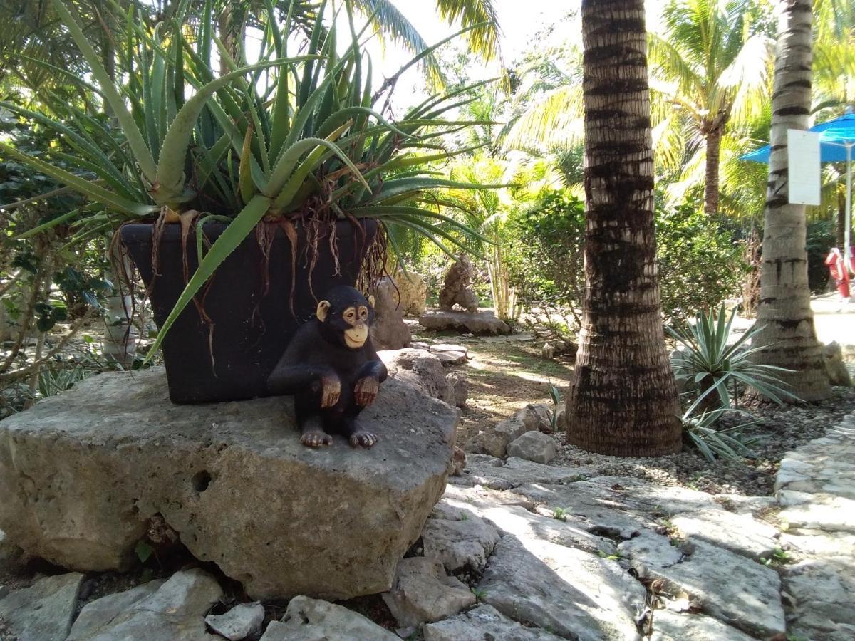 Villa Tortugas Akumal Ngoại thất bức ảnh