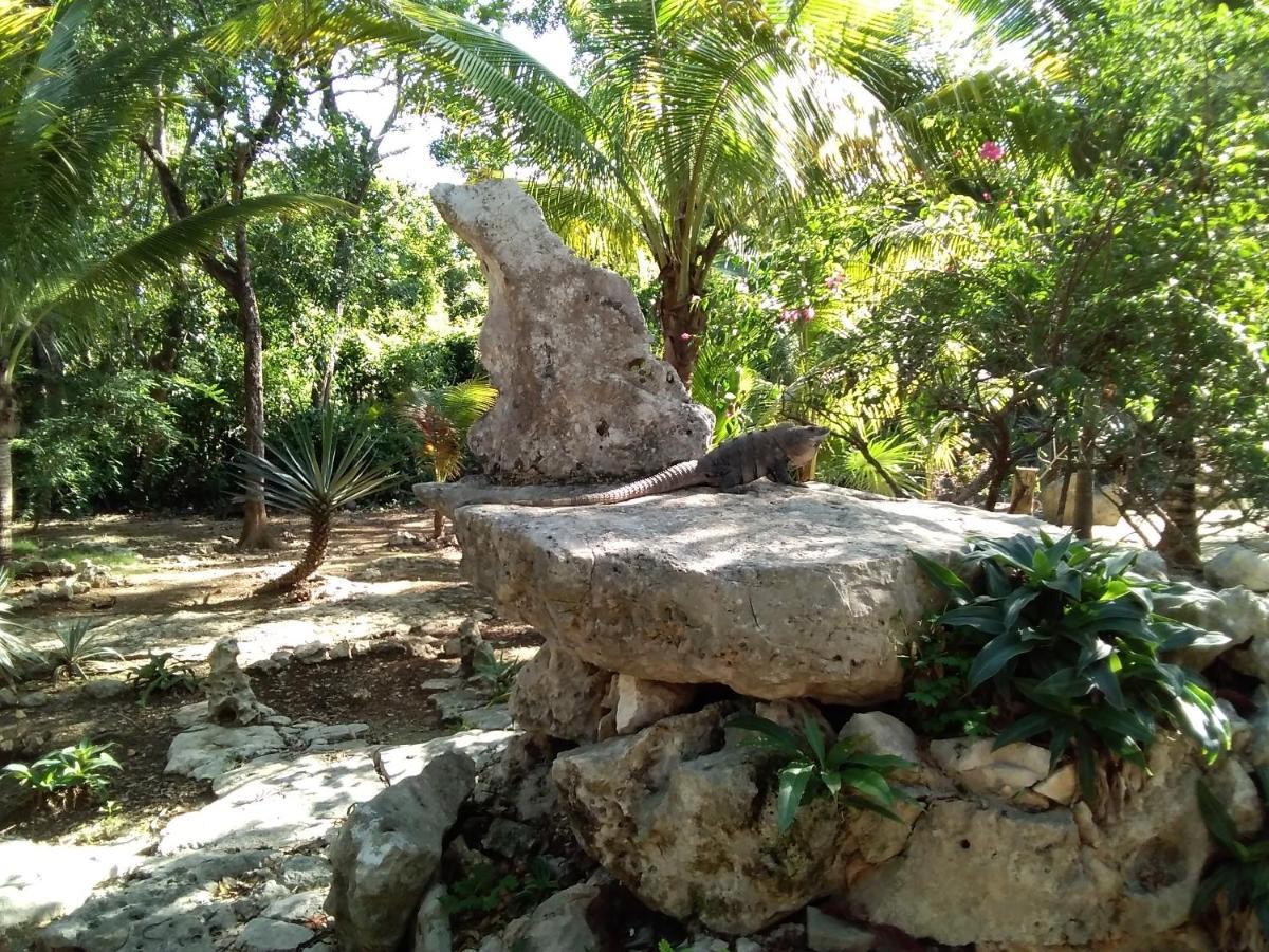 Villa Tortugas Akumal Ngoại thất bức ảnh